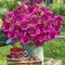 Artificial Flowers for Outdoors, Summer Potted Plants Fake Silk Flowers UV Resistant and No-Fade, Faux Summer Flowers Plants Long Stem for Window Box Porch Patio Garden Streets Decor(8pcs)
